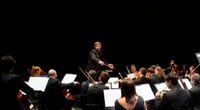 MAGNA SINFONIETTA